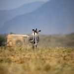 秘密研究所导航:探索未知领域的神秘科研机构与前沿技术 3ozh9b