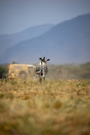 秘密研究所导航：探索未知领域的神秘科研机构与前沿技术