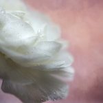 畅享9 1漫画在线阅读,尽情探索精彩故事世界 48v6aa16