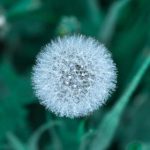 畅享乐视视频在线视频观看,海量影视资源随心看 dg0v69u0ga