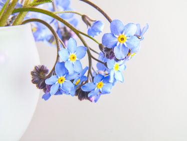 畅享Freeok在线观看免费高清电影，尽情体验影院级视听盛宴