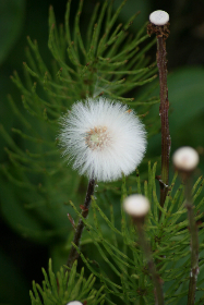 畅享书包网：海量小说免费下载指南与推荐