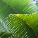 畅享libvio影视看剧,尽情体验精彩影视世界 hq312