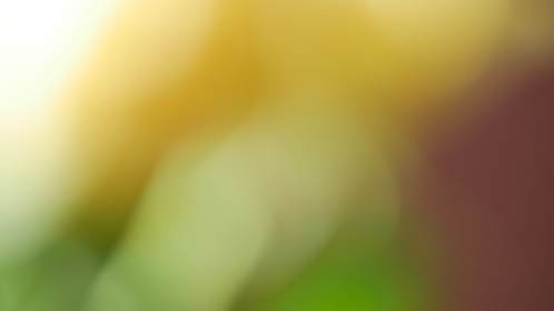 畅享9 1视频在线观看免费一区，尽情体验高清视听盛宴