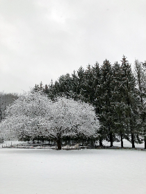 笔盒在线观看免费观看完整版：畅享高清无广告的精彩内容体验