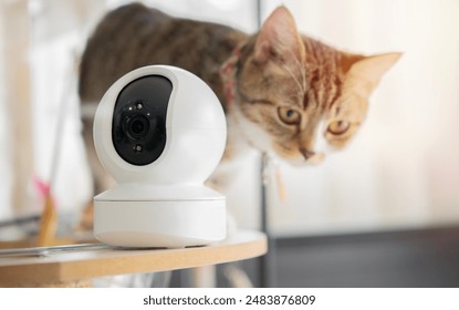 第一大弟子：漫画第三话精彩剧情解析与角色分析