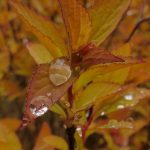 畅享91美剧网在线观看,尽览热门美剧精彩内容 mdr9k