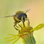 畅享七七影院在线观看免费版高清,尽情观影无阻碍 n9wokf1foz