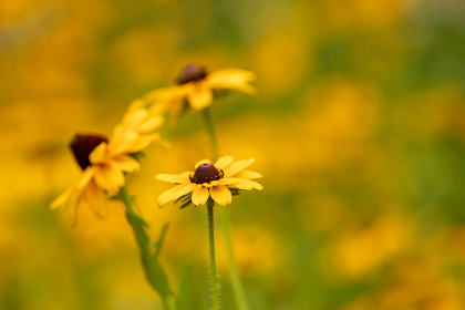 畅享PoolBreakLite3D台球：极致3D体验与技巧提升