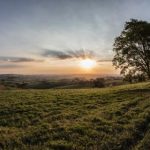 畅享9 1在线观看观看,尽享精彩内容与无限乐趣 zi9v4v6skq